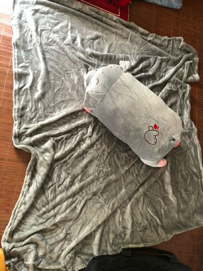 Bộ chăn gối xịn lắm nha! Heo mềm êm, mền 2 lớp lông chứ không phải loại 1 lớp nên ấm, xài ở văn phòng rất ổn. Dây kéo may giấu bên trong, có điều bụng hơi bé nên nhét mền vào hơi khó thôi còn lại rất ok