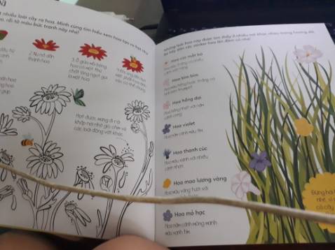 Sách màu in rõ khá đẹp có sticker , nêu 1 số ít trong rất nhiều thứ mình k biết và mình thấy ít gặp chim dẽ, chim cốc hoa violet, hoa cúc mát bò, hoa mao lương vàng, hoa mỏ hạc. Nội dung thì mình k thấy hứng thú và tương tác  chút nào.