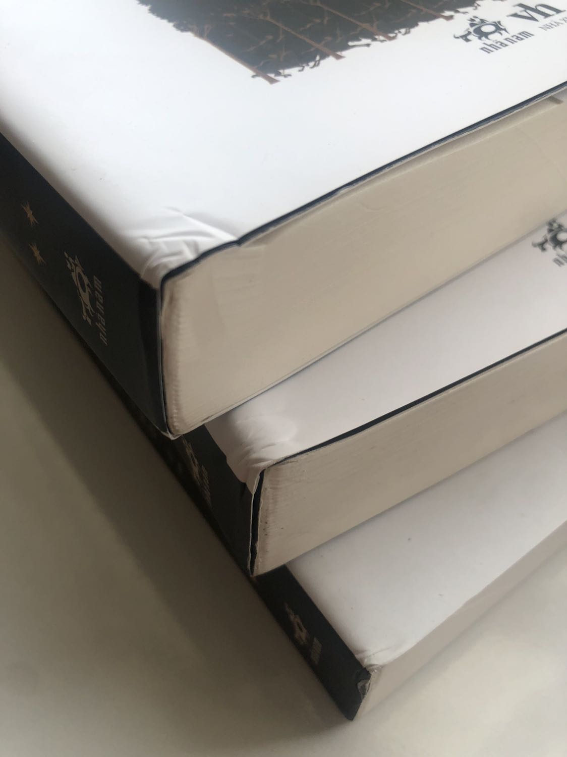 Mua rẻ hơn những chỗ khác nhưng mà đóng gói sơ sài, hộp móp méo, sách ở trong dù được bọc nilong nhưng bìa vẫn  gãy, dơ, bụi bặm, móp méo. Nói chung ham rẻ thì chịu 😰😰😰