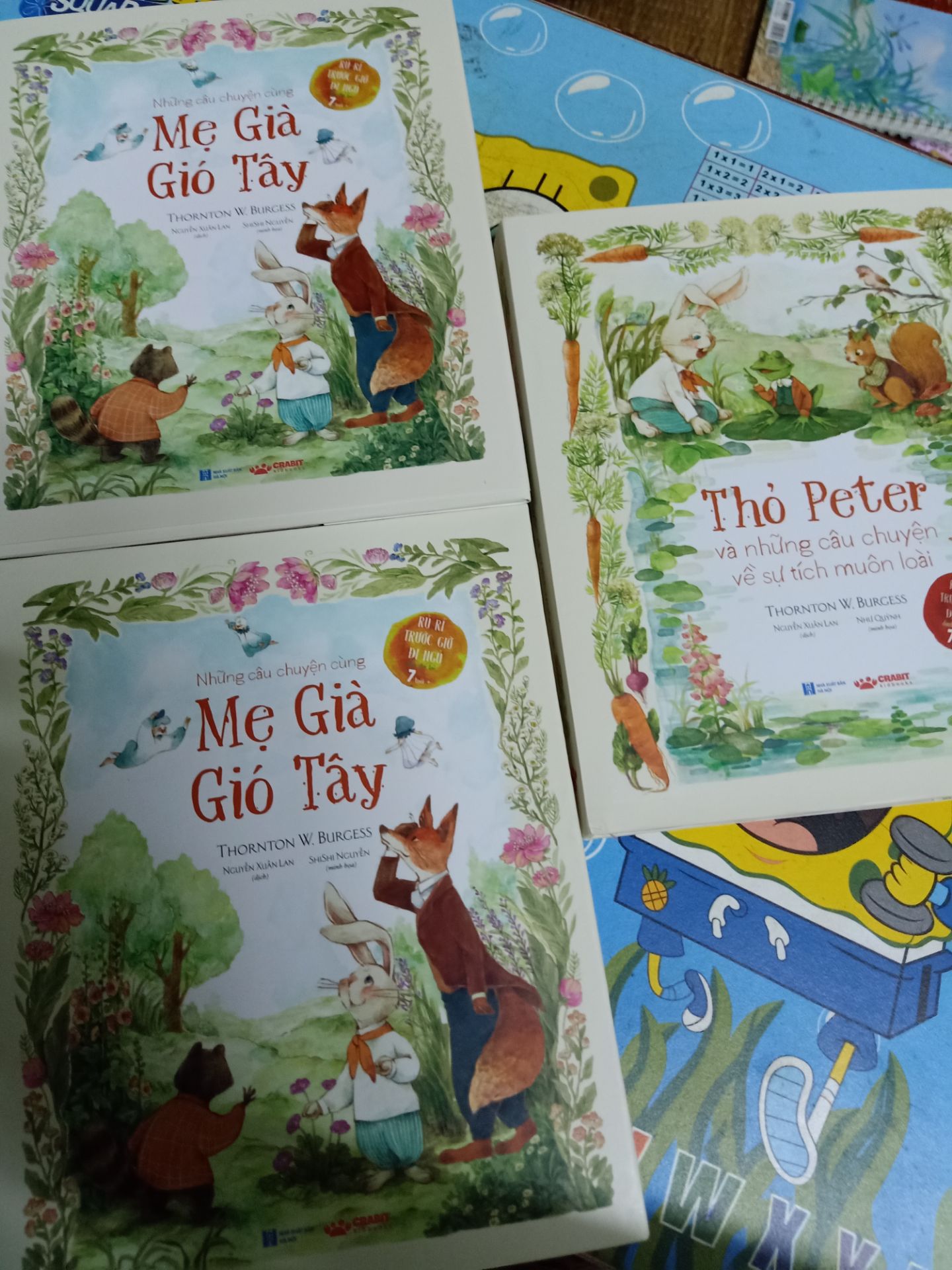 Mình mua bộ sách bộ của mình có 2 quyển trùng nhau: 2 quyển Mẹ già gió tây, 1 quyển Thỏ Peter, thiếu mất quyển Già ếch. Tiki kiểm tra lại giúp mình nhé! Mình mới đọc quyển Thỏ Peter, không để ý 2 quyển còn lại, tối nay mới bỏ ra xem