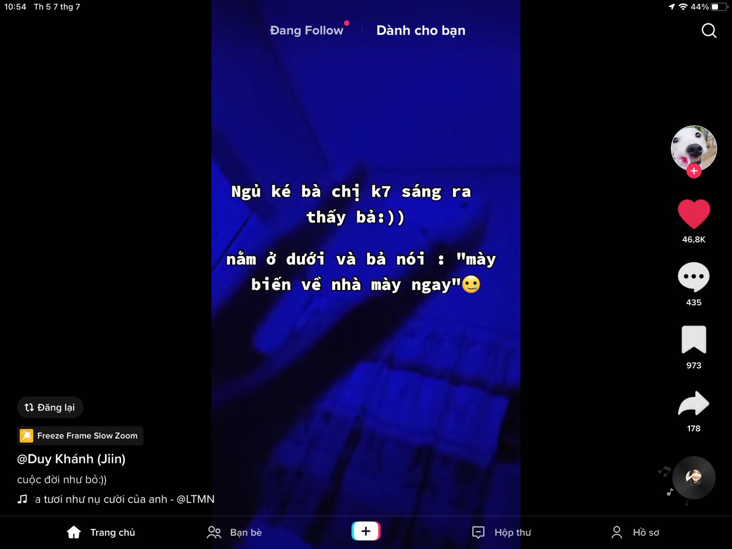 Mua thường + lmt về trưng thoai:))