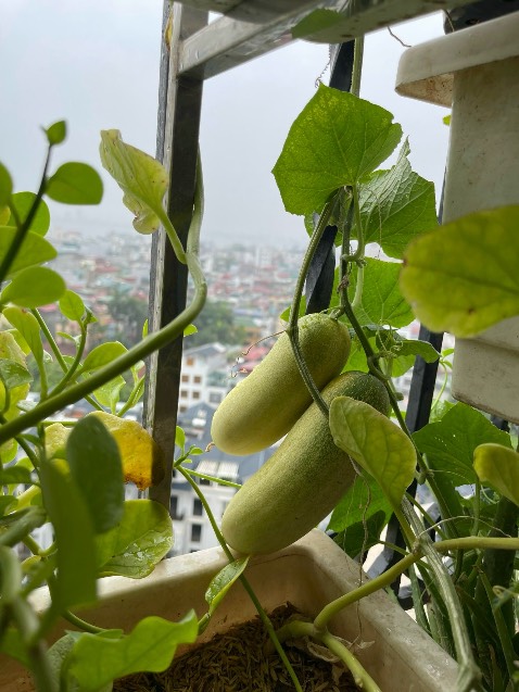 Ảnh mang tính chất nhận xu. Hàng lâu r giờ mới đánh giá. Hàng dùng rất ok.