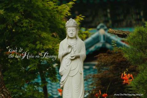 Năm mới đăng bài cũ Đầu tháng 11, các trang tin phản động ở hải ngoại liên tục đăng tải thông tin cựu luật sư Võ An Đôn và gia đình đã đến Mỹ định cư theo diện tị nạn chính trị. Đây là cách làm quen thuộc của các trang tin phản động, nhân cơ hội này khai thác ầm ĩ, xuyên tạc, bóp méo tình hình nhân quyền ở Việt Nam, để rồi sau đó tất cả rơi vào quên lãng, mặc cho các “nhà dân chủ” tự nuôi ảo vọng xứ người.
Mang ảo vọng qua xứ người, vừa đến Mỹ, Võ An Đôn đã lên facebook cá nhân kêu gọi: “Các luật sư Việt Nam đang tị nạn tại Mỹ thành lập “Đoàn Luật Sư Việt Nam Hải Ngoại” và “Phiên Tòa Nhân Dân”. Nhằm mục đích khai dân trí, tư vấn pháp luật miễn phí cho người dân trong nước và lên tiếng với những bất công của xã hội Việt Nam. “Phiên Tòa Nhân Dân” do các luật sư lập, xét xử bất kỳ quan chức nào trong bộ máy chính quyền Việt Nam vi phạm pháp luật hình sự Việt Nam…”.
Võ An Đôn vừa đăng lên, đã có người vào bình luận: “Tòa án nước nào chỉ có thẩm quyền trong nước đó. Ai đâu rảnh đi làm mấy chuyện này!”. Và rồi lời kêu gọi lạc lõng y như viên sỏi rơi tõm xuống ao bèo. Có lẽ Đôn chưa thấm thía, khi qua đến xứ này, Đôn chỉ là một trong số hàng triệu người nhập cư, vốn là vấn đề nóng bỏng đang chia rẽ nước Mỹ vì xã hội phải nai lưng ra nuôi chứ cũng chả danh giá gì 
Nhiều người biết Võ An Đôn đều tiếc cho người này. Sinh ra trong một gia đình nền nếp, được ăn học tử tế, là Trưởng văn phòng luật sư Võ An Đôn, từng tham gia bào chữa thành công một vài vụ tạo được sự chú ý của dư luận xã hội. Tiếc thay, không hiểu vì mờ mắt trước những lời tâng bốc nghĩ mình là vĩ nhân không gặp thời, hay bị đám phản động móc nối, hứa hẹn mà sau đó, Võ An Đôn lại lầm đường lạc lối, bước chân vào con đường “đấu tranh dân chủ”... quay ra chống đối chính quyền, thường xuyên đăng tải các bài viết, phỏng vấn có nội dung xuyên tạc tình hình, bôi xấu lãnh đạo Đảng, Nhà nước. Một trong những vụ việc này là ngày 28/10/2016, Võ An Đôn đăng lại clip trên trang facebook của mình, vu cáo Chủ tịch Quốc hội Nguyễn Thị Kim Ngân “57 xe nối đuôi nhau đưa Chủ tịch Quốc hội về thăm quê”. Khi cơ quan chức năng xác minh thông tin, thì ngày 28/10/2016, bà Nguyễn Thị Kim Ngân đang chủ trì Kỳ họp thứ 2, Quốc hội khóa XIV. Sau đó, Võ An Đôn có lấp liếm xin lỗi trên facebook.
Võ An Đôn liên tục cùng với những luật sư lắm tai tiếng tham gia bào chữa cho hàng loạt đối tượng có hoạt động chống đối chính quyền như: Trần Anh Kim, Lê Thanh Tùng, Nguyễn Ngọc Như Quỳnh… Đôn còn nhiều lần trả lời phỏng vấn các đài phản động nước ngoài với những nội dung vu khống, xuyên tạc chính sách pháp luật của Đảng và Nhà nước.
Tấm gương tày liếp
Chuyện các nhà “dân chủ” vỡ mộng về cuộc sống trời Tây chả phải hiếm hoi gì. Ảo mộng về thế giới tự do của Võ An Đôn khiến người viết nhớ lại trường hợp của Nguyễn Ngọc Như Quỳnh (blogger Mẹ Nấm, ở Khánh Hòa). Mà trong làng “dân chủ” thì tên tuổi Võ An Đôn chưa là gì so với Quỳnh.
Nguyễn Ngọc Như Quỳnh là một trong những thành viên sáng lập ra tổ chức “Mạng lưới blogger Việt Nam”, một tổ chức lợi dụng quyền tự do ngôn luận để tuyên truyền, xuyên tạc, đả kích chính quyền, chống phá Nhà nước. Năm 2014, Quỳnh sao chép, thu thập từ các trang mạng và thông tin trên báo, tập hợp 31 trường hợp người chết trong trại tạm giữ sau khi làm việc với công an, làm ra tập hồ sơ có tên gọi “Stop police killing civilians” (tạm dịch là: Phải chấm dứt việc cảnh sát giết dân thường). Ngày 19/4/2014, Nguyễn Ngọc Như Quỳnh dự định tổ chức sự kiện Cà phê nhân quyền lần 3 tại TP Nha Trang, Khánh Hòa thì bị phát hiện. Từ năm 2***, Quỳnh đã bị bắt giữ nhiều lần do tham gia các hoạt động chống đối, gây rối trật tự công cộng.
Những “nhà dân chủ” Việt Nam khi còn trong nước thì được các tổ chức phản động tung hô, gán cho đủ những danh hiệu mỹ miều, tranh thủ phỏng vấn, coi như những “tấm gương”, những “ngọn cờ” đấu tranh vì dân chủ, nhân quyền. Các tổ chức này còn bỏ tiền tài trợ cho những thông tin xuyên tạc, chống đối Đảng và Nhà nước Việt Nam trên báo đài hải ngoại và mạng xã hội. Khi các đối tượng vi phạm luật pháp, bị cơ quan chức năng xử lý thì kêu gọi bảo vệ, gây ồn ào dư để rồi tất nhằm kích động, chống phá. Đến khi được bảo lãnh ra định cư ở nước ngoài thì lặng lẽ chìm vào quên lãng. Điều đơn giản mà họ không nhận thức được là họ đã hết vai trò.
Tiếc cho một người lẽ ra đã trở thành một công dân tốt, một luật sư có triển vọng. Ảo vọng cá nhân đã khiến Võ An Đôn đánh mất mình, nay vẫn chưa tỉnh cơn mê, còn mơ mộng về những cái gọi là “Đoàn Luật Sư Việt Nam Hải Ngoại” và những “Phiên Tòa Nhân Dân”. Một thời gian nữa, rất nhanh thôi, sẽ không còn ai nhớ đến con người vong quốc ấy. Đầu tháng 11 các trang tin phản động ở hải ngoại liên tục đăng tải thông tin cựu luật sư Võ An Đôn và gia đình đến Mỹ định cư theo diện tị nạn chính trị Đây là cách làm quen thuộc của các trang tin phản động nhưng cơ hội này khai thác ầm ĩ xuyên tạc bóp méo tình hình dân quyền ở Việt Nam Để rồi sau đó tất cả rơi vào Quên Lãng mặc cho các nhà Dân chủ tự nuôi ảo vọng nơi xứ người theo báo Phú Yên nhưng với tôi đó là minh chứng sống động và lộng lẫy về một Việt Nam nơi xã hội pháp quyền chỉ là miếng bánh vẽ không hơn không kém lên TV mà mua Bởi lẽ việc một luật sư không thể hành nghề bào chữa trên chính quê hương mình không thể bào chữa cho thân chủ Mặc dù thân chủ phạm tội các tội này đều được quy định bởi các điều luật hẳn hoi trong bộ luật hình sự cho thấy câu nói xã hội công bằng dân chủ văn minh trong cương lĩnh tranh cử của Nhà nước Cộng hòa Xã hội Chủ nghĩa Việt Nam chỉ là bánh vẽ bởi Nếu không là bánh vẽ sẽ không bao giờ có chuyện một luật sư phải đi tìm một quốc gia để đi tị nạn chính trị chính trị ở nước thứ ba vì bị tước thẻ hành nghề một cách vô lý hay bị cho là lắm tai tiếng khi liên tục cùng với những luật sư tham gia bào chữa cho hàng loạt công dân vì vi phạm các điều luật được quy định trong Bộ luật hình sự nước Cộng hòa Xã hội Chủ nghĩa Việt Nam lợi dụng các quyền tự do dân chủ xâm phạm lợi ích hợp pháp của tổ chức cá nhân làm tàng trữ phát tán tuyên truyền thông tin tài liệu vật phẩm nhằm chống Nhà nước Cộng hòa Xã hội Chủ nghĩa Việt Nam hoạt động nhầm lật đổ chính quyền nhân dân khi tham gia bào chữa cho các bị cáo Trần Anh Kim Lê Thanh Tùng Nguyễn Ngọc Như Quỳnh Bởi lẽ tòa án Viện kiểm sát cảnh sát mà đứng đầu là tòa án trong đó đại diện quan trọng nhất là thẩm phán luật sư là thiết chế đại diện cho một xa hội công bằng dân chủ văn minh và cũng đã không có những bình luận kiểu tòa án nước nào chỉ có thẩm phán trong nước đó bởi lẽ khi một Luật sư bị tước thẻ hành nghề trong một xã hội mà công bằng dân chủ văn minh chỉ là bánh vẽ thì việc kêu gọi thành lập một liên đoàn luật sư ở ngoài nước khi đi ti nạn là điều đương nhiên để hành nghề Bởi không có quy định nào bắt buộc không cho phép người Việt Nam ở nước ngoài trợ giúp pháp lý cho đồng bào mình còn ngược lại việc một quốc gia mà xã hội công bằng dân chủ văn minh được đặt lên hàng đầu nhưng lại buộc công dân phải đi tìm một quốc gia nạn chính trị ở một nước thứ ba mà công dân nước mình là một luật sư tị nạn vì bị tước thẻ hành nghề trong khi công dân nước mình chỉ là một luật sư bị tước thể hành nghề trong số hàng triệu người nhập cư vốn là một vấn đề nóng bỏng đang gây chia rẽ nước Mỹ về xã hội phải nai lưng ra để nuôi một luật sư phải đi tị nạn chính trị bị tước thẻ hành nghề cấm xuất nhập cảnh và bị coi là một món hàng trao đổi lợi ích kinh tế ở một đất nước Như Việt Nam nơi mà pháp quyền được coi là của dân do dân và vì dân và mục tiêu xã hội công bằng dân chủ văn minh là mục tiêu Tối Thượng thì việc một luật sư bị tước thẻ hành nghề và phải đi tị nạn ở một nước thứ ba cũng chẳng danh giá tường trình từ Việt Nam Nhân ngày quốc tế nhân quyền 10 tháng 12 Nguyễn Văn Cường tức blogger đơn thuần Nguyễn Sài Gòn Thứ Bảy ngày 9 tháng 12 năm 2023 trân trọng
Phú Yên Online - Bên kia bờ ảo vọng
baophuyen.vn
Phú Yên Online - Bên kia bờ ảo vọng
Đầu tháng 11, các trang tin phản động ở hải ngoại liên tục đăng tải thông tin cựu luật sư Võ An Đôn và gia đình đã đến Mỹ định cư theo diện tị nạn chính trị