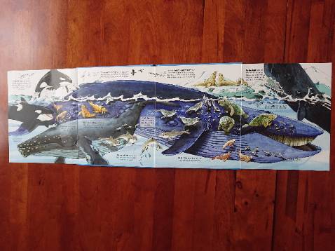 Cuốn sách với những thông tin và hình vẻ màu sắc tươi sáng, phù hợp con trẻ. Rất đáng mua!