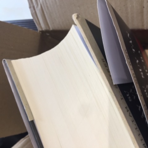 Cả cuốn sách to như vậy, dày 1500 trang, bìa cứng mà không bọc lót chèn hộp. Móp bìa, rách áo, bụi bặm..
Nhà bán Tiki Trading sẽ mất khách!