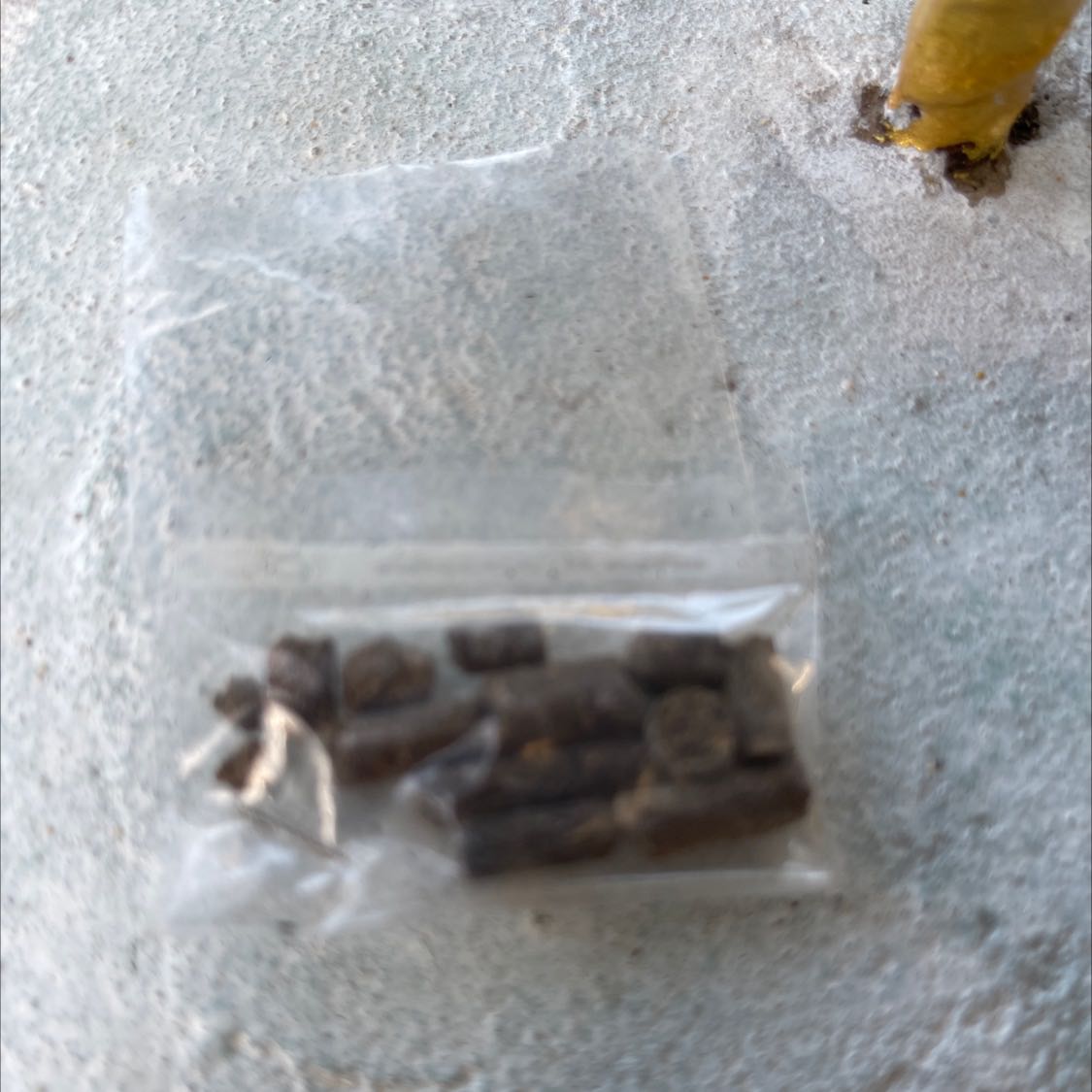 Cây xanh tươi, tặng phân bón như mô tả