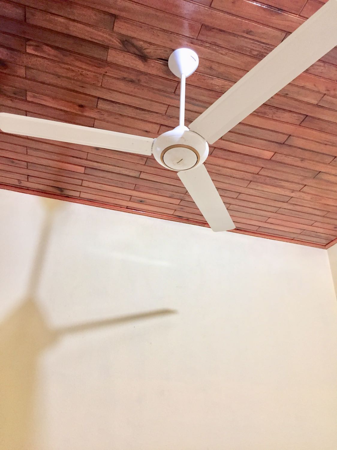 Quạt đẹp theo kiểu đơn giản, nhìn chắc chắn. Quạt gió mát nhẹ, rất phù hợp với nhu cầu của mình. 
      Tuy nhiên thì trần nhà mình là 3.3m, mình mua loại ti 30cm - 12 inch ấy. Thế nhưng về thì mình đo được là 46cm, khi lắp vào modun nữa thì quạt cách trần nhà là gần 60cm lận.  Theo mình là sản phẩm hợp với trần nhà từ ít nhất 3.6m trở lên, phòng cũng nên rộng hơn 18m2 thì sẽ đỡ phí hơn, vì quạt to mà. 

     Ít nhận xét của mình cho bạn nào cần tham khảo nhé.