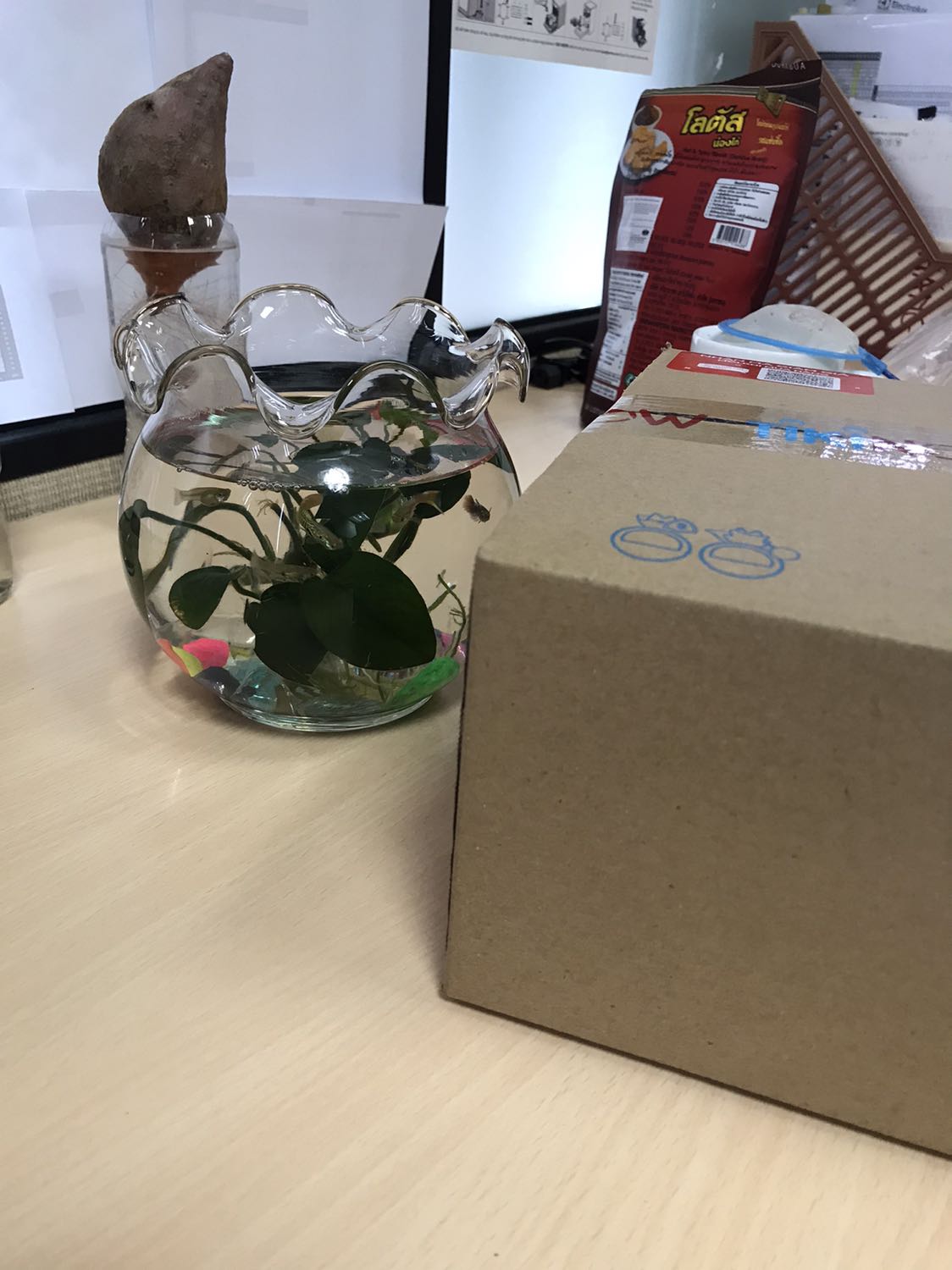 Giao hàng nhanh, sp dùng oke