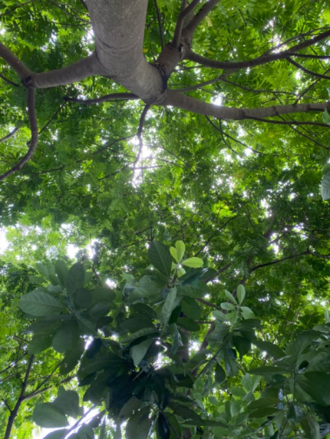 Đã đọc rất nhiều sách dạy con ít cũng trên 20 cuốn nhưng đây là cuốn sách lời lẽ gần gũi dễ hiểu thiết thực nhất và rất rõ ràng và dêz hiểu không màu mè