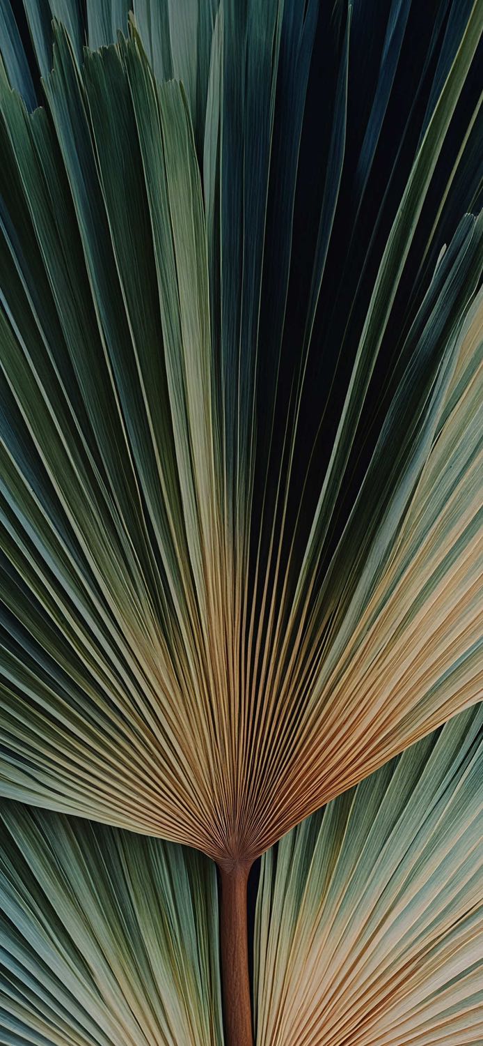 Giao hàng rất nhanh , chất lượng hoàn hảo