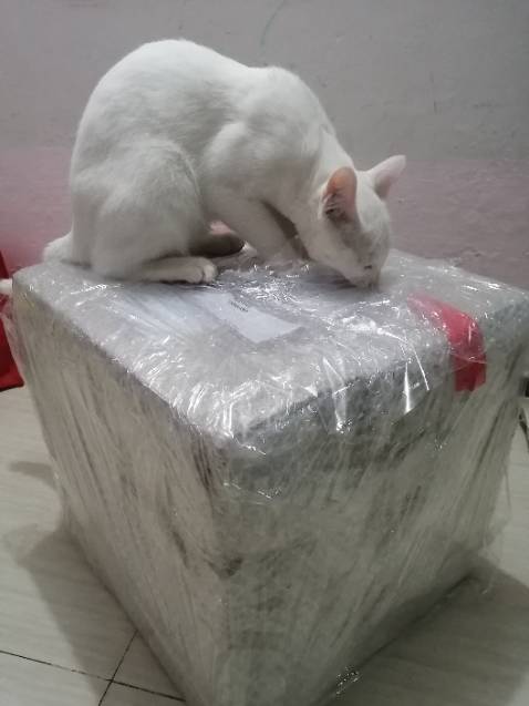 Nồi quá đẹp. Đẹp nhất trong các loại nồi của five star và vượt trội nồi các hãng khác. Giá mềm nhất chợ. Đóng gói siêu cẩn thận. Giao hàng sớm hơn dự kiến 13 ngày. Vote 5* cho shop!