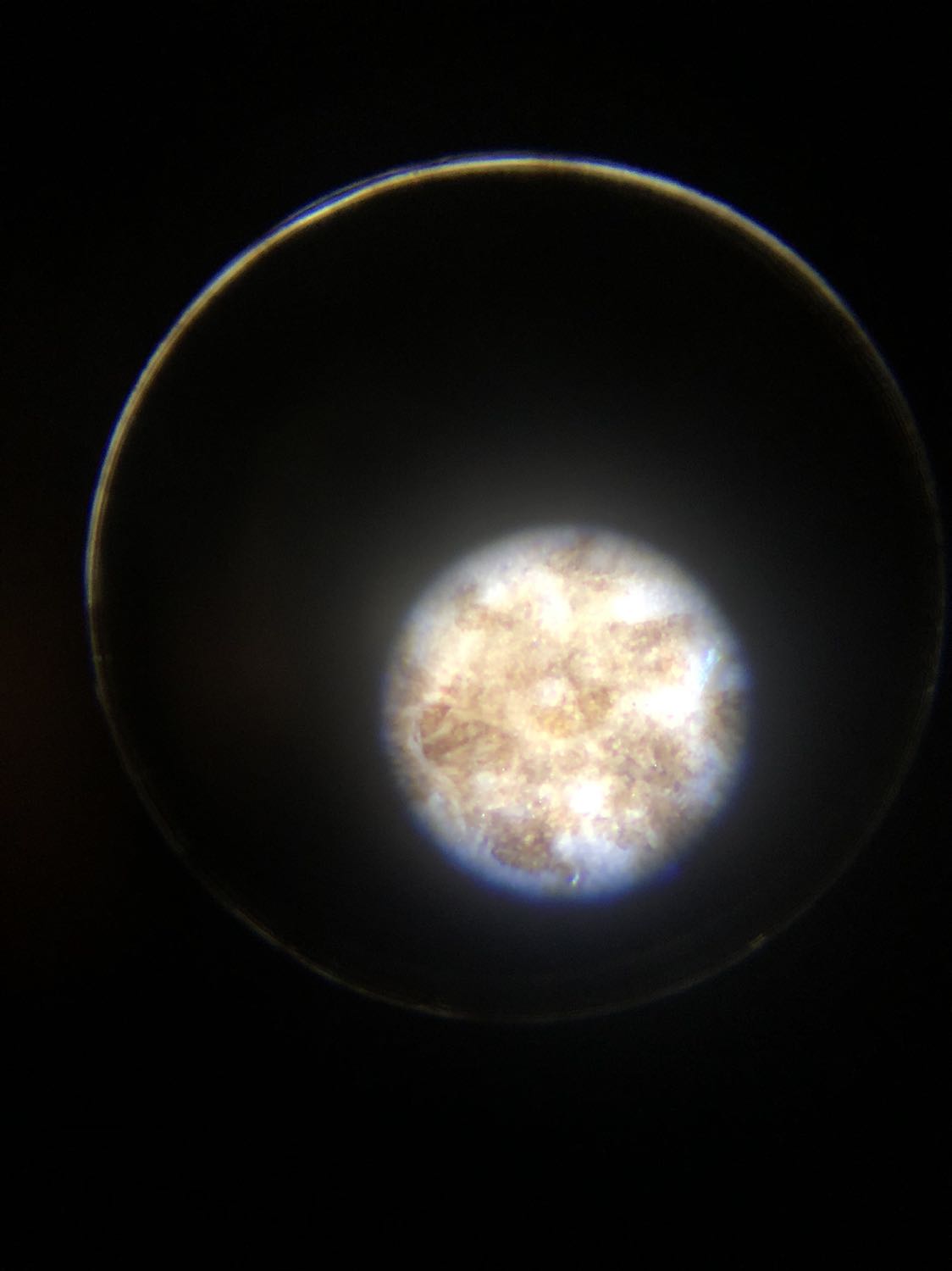 Sản phẩm hữu ích cho học tập. Chất lượng hình ảnh rõ nét