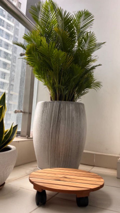 Tiki giao đế lót chậu cây rất nhanh. Để đúng kích thước đường kính 35cm theo yêu cầu, chất lượng rất tốt và dùng ngay cho chậu cây lớn.