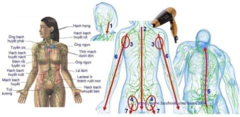 Gió mạnh.  Quạt chạy êm. Hình thức ổn tuy nhiên chân quạt nhẹ chỉ sợ đổ