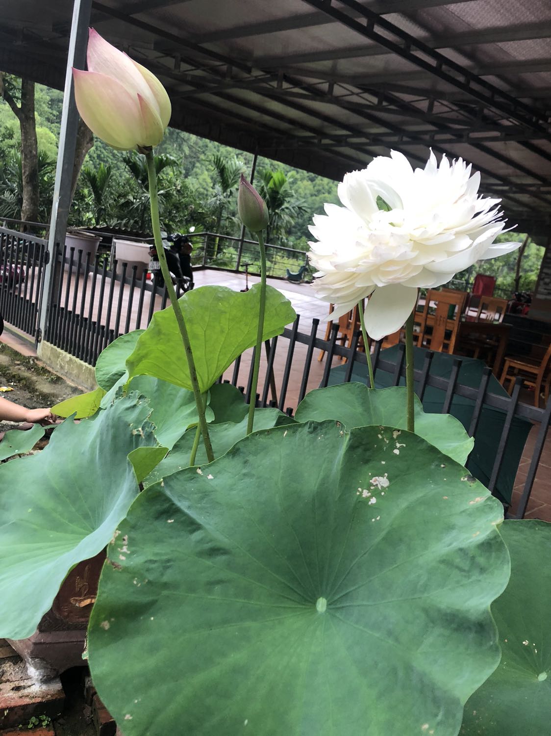 Sản phẩm đẹp mềm mại