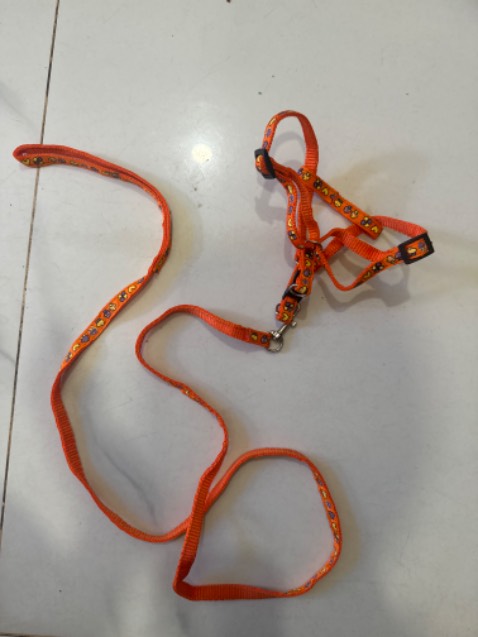 Giao không đúng mẫu  em đặt không phải mẫu này