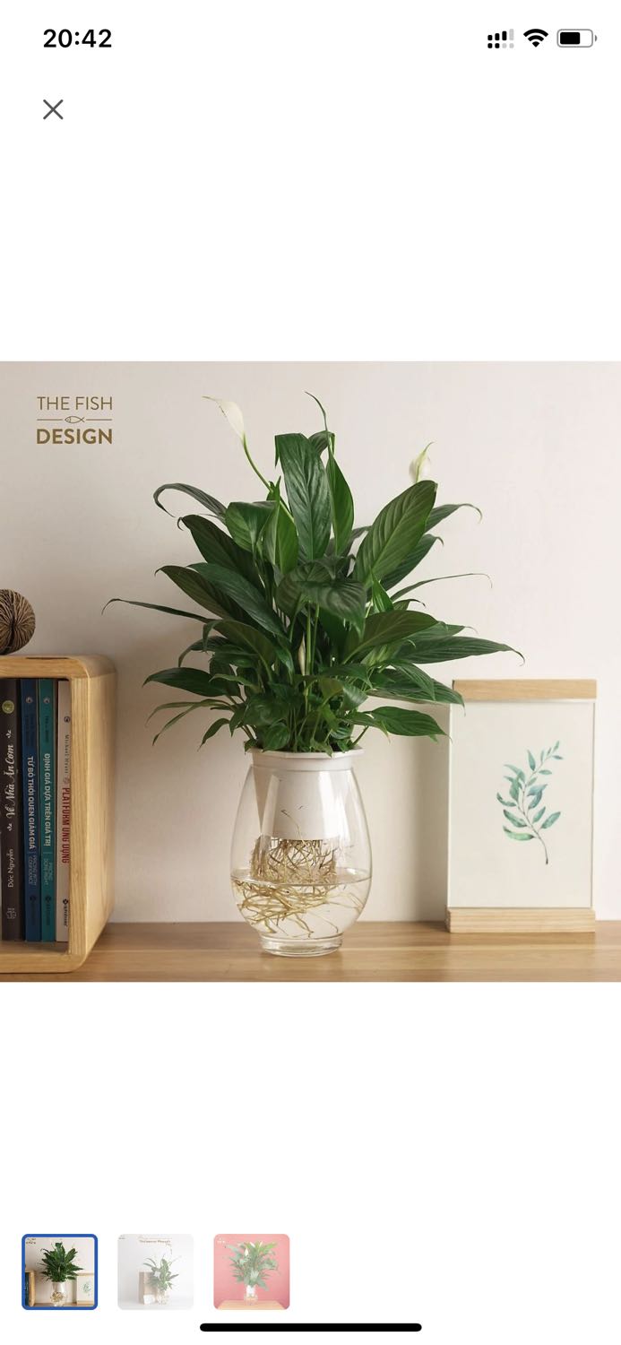 Sản phẩm chất lượng cmt để các bạn thấy đánh giá ./.