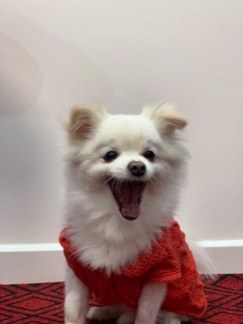 Shop tư vấn nhiệt tình, thuốc tốt, đóng gói cẩn thận  đc tặng kèm gói súp thưởng. Sẽ ủng hộ shop lần sau