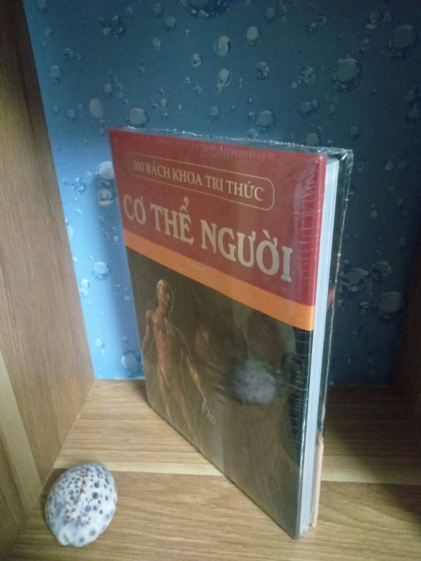 về thẩm mỹ sách được bọc đóng gói cẩn thận và không bị móp. còn nội dung thì sách còn nguyên seal nên chưa nỡ bóc. giao hàng sớm tóm chung rất ưng.