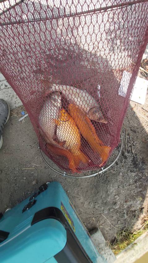 Sản phẩm tốt giao hàng nhanh đóng gói cũng cẩn thận không bị hỏng hàng