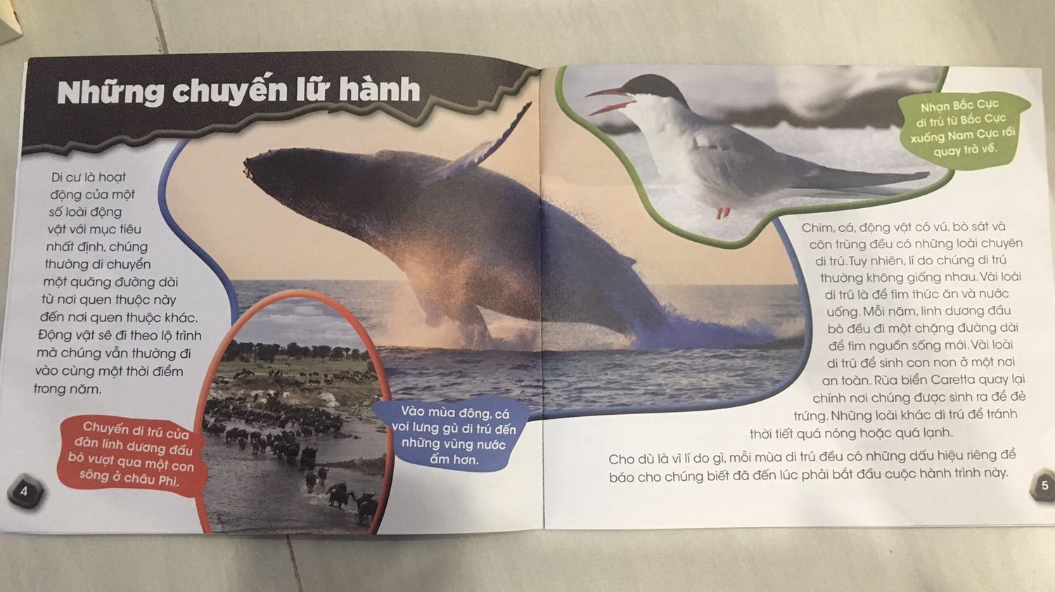 Tiki giao hàng nhanh. Nội dung đơn giản, dễ hiểu. Hình ảnh sống động, hấp dẫn.