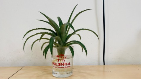 Chất liệu tốt. Tuy nhiên hơi nhanh “xệ”.