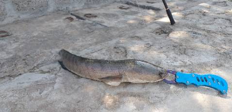 Hàng tốt, đẹp, mà chưa câu nên chưa pik chất lượng ra sao. Giao hơi chậm nhưng tại xa nên ko sao