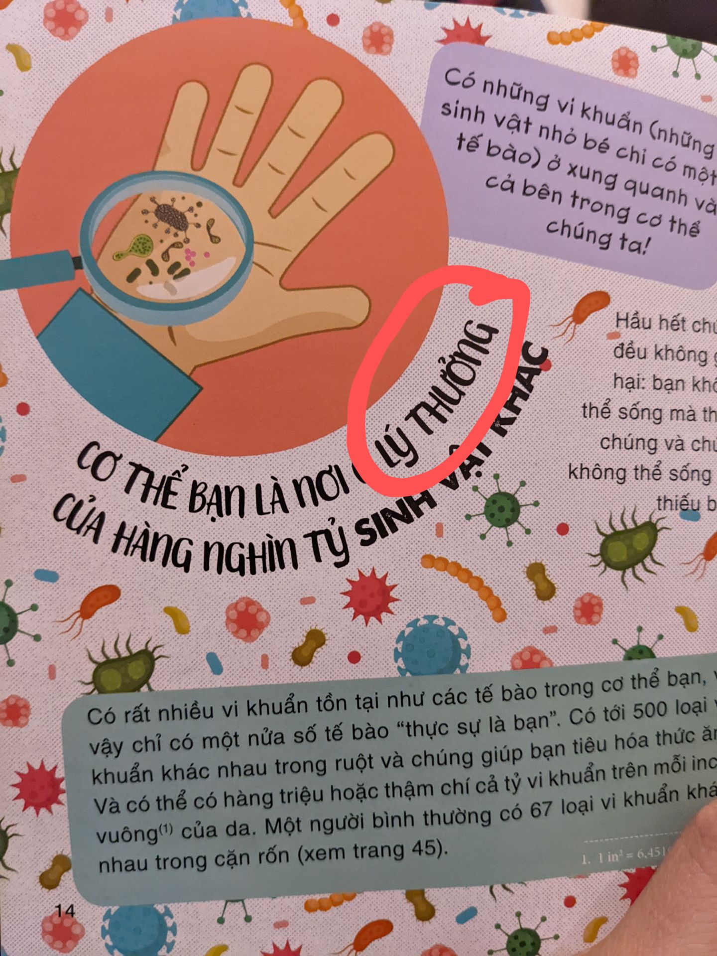 Mình mới xem qua thấy cuốn sách này nội dung phong phú, rất thú vị, nhiều kiến thức hay. Nhưng có khá nhiều lỗi chính tả không đáng có, mặc dù mới chỉ đọc lướt qua, đọc hết quyển này không rõ còn bao nhiêu lỗi. NXB nên làm tốt hơn.