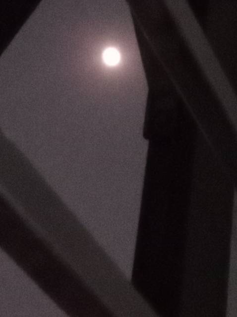 Sách chỉ bé bằng lòng bàn tay thôi , đút túi quần rất vừa nhaa