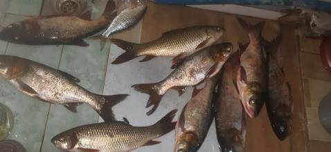 ghế ok, giao nhanhhhhhhhhhhhhhhhhhhhhhhhhhhhhhhhhhhhh