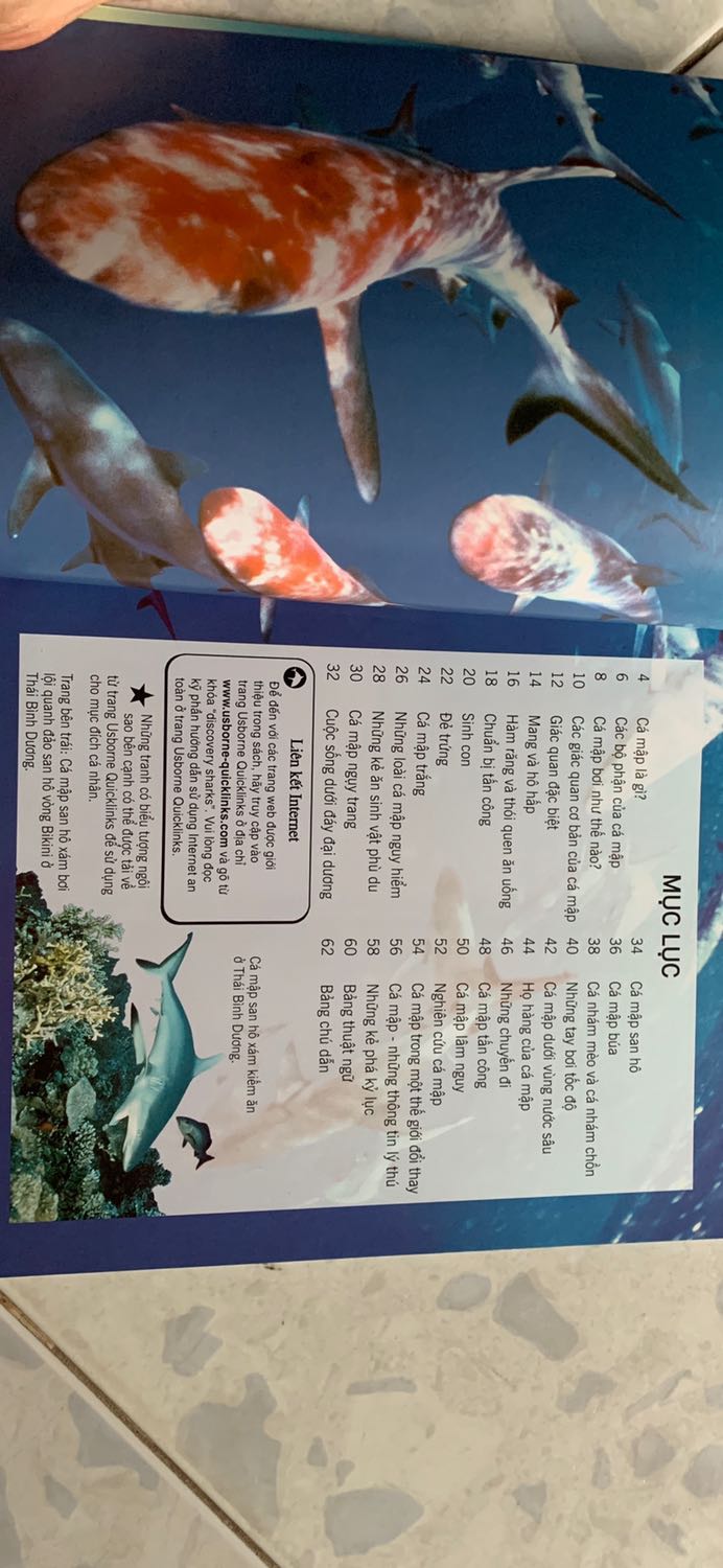 Sách đẹp, trang giấy dày, in ấn sắc nét. Nội dung chỉ tổng quan về các loài cá mập. Tuy nhiên đối với các bé thì kiến thức chung như vậy là ok rồi.