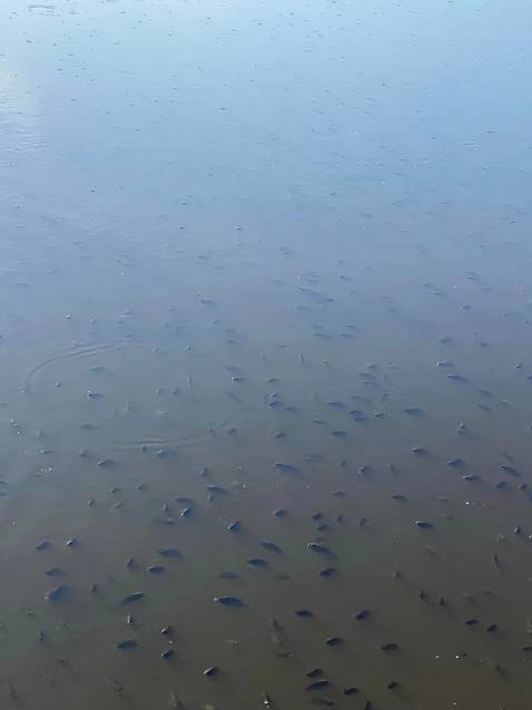 Giao nhanh đẹp giống hình đóng gói chưa cẩn thận lắm d gm mà và g hh