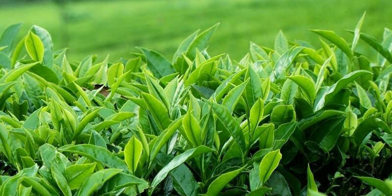 sách  rất đẹp, bìa cứng,đầy.cảm ơn  shop đã  giao đúng  hàng.ảnh  chỉ  minh họa. vì mình  quên chụp