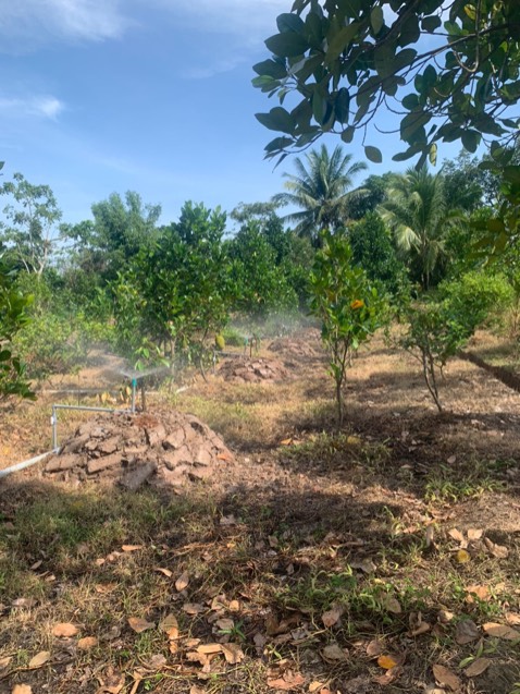 Hàng tốt, đóng gói nhanh, cẩn thận