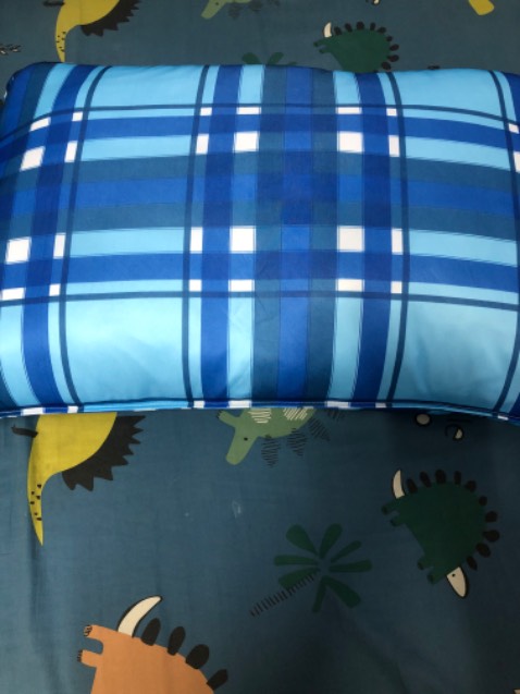 Mình mua ở Tiki rẻ hơn các chỗ khác. 
Gối rất êm, độ đàn hồi tốt. Có khoá kéo để có thể thêm bớt ruột gối rất tiện lợi. 
Shop còn chu đáo tặng một cái vỏ gối kèm theo nữa!