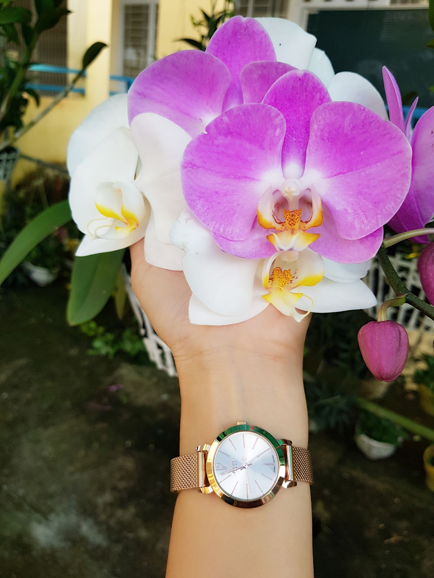 Với tầm giá này thì đồng hồ quá là đáng mua. Thiết kế siêu đẹp, nhỏ nhắn và sang trọng.