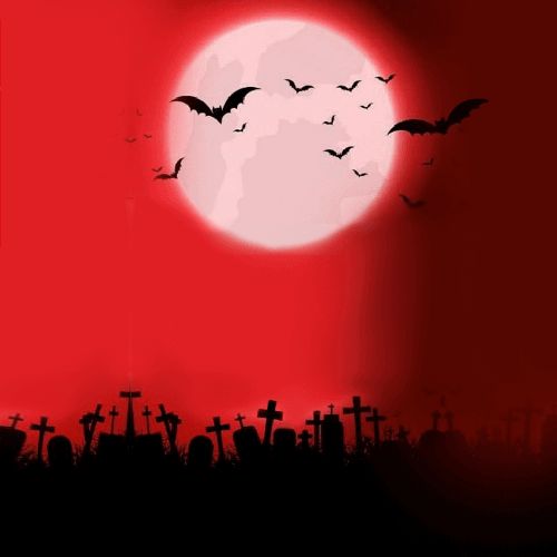 Hàng ổn trong tầm giá, giao hàng nhanh, đóng gói tốt. Chất lượng đợi thời gian sử dụng rồi sẽ đánh giá tiếp.