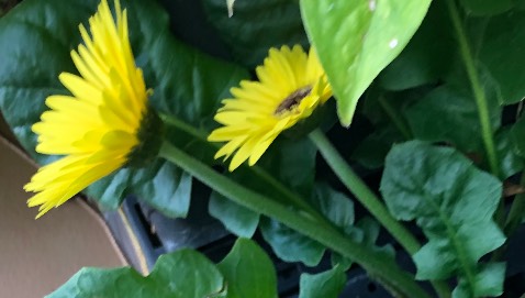 Chất liệu vải mát, quần đẹp……