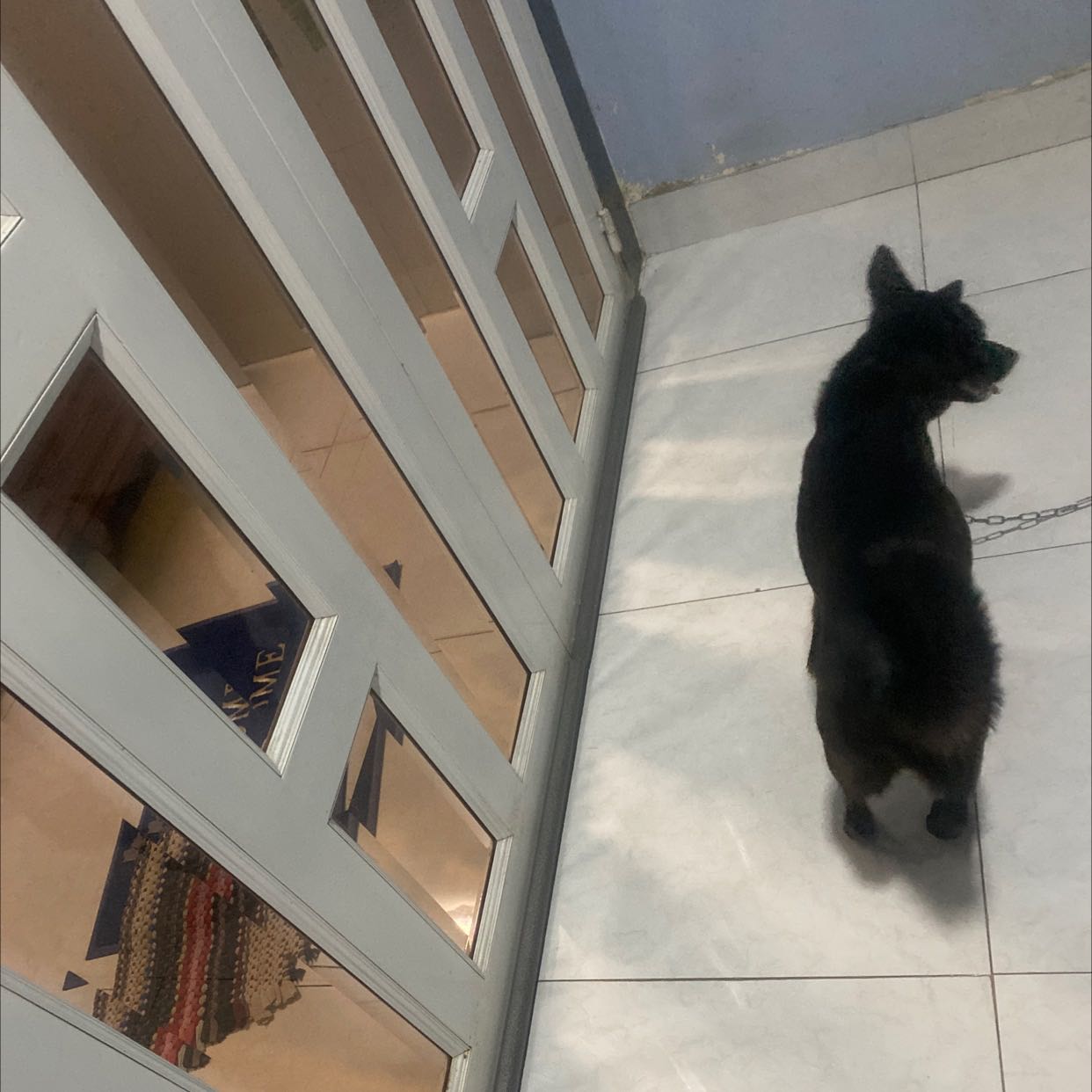 Giá thành hợp lý