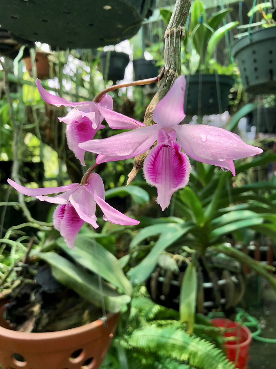 Hàng ok. Giao nhanh, đóng hàng cẩn thận Hàng ok. Giao nhanh, đóng hàng cẩn thận