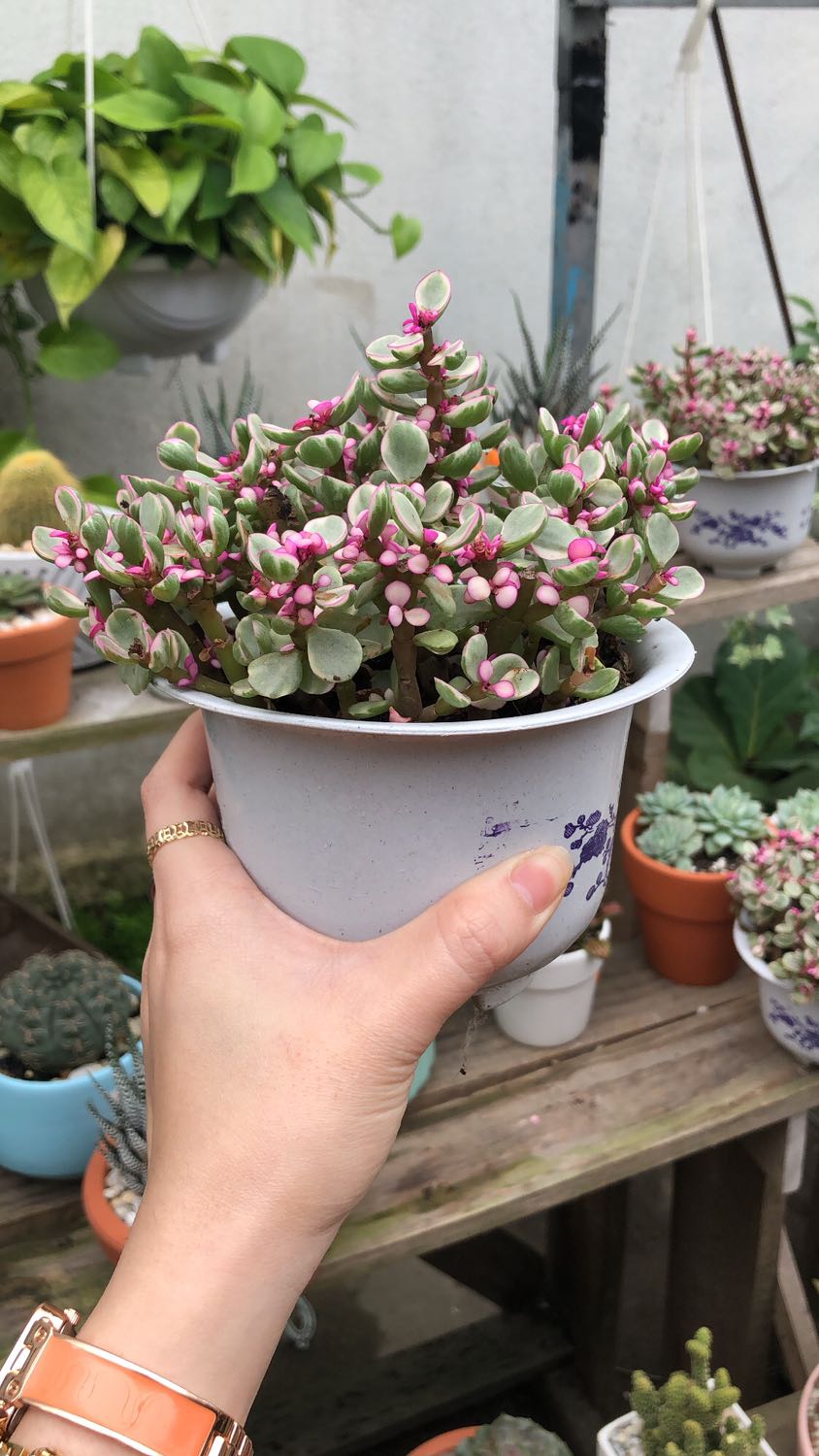 Sách hay, mình rất thích