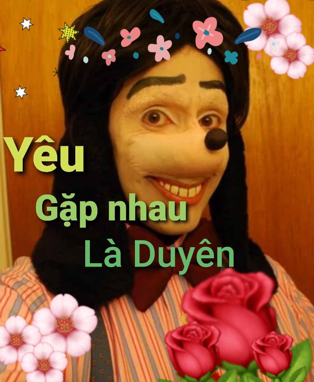 hàng đẹp, tranh vẽ siêu xinh, giá rẻ, bìa cứng lấp la lấp lánh