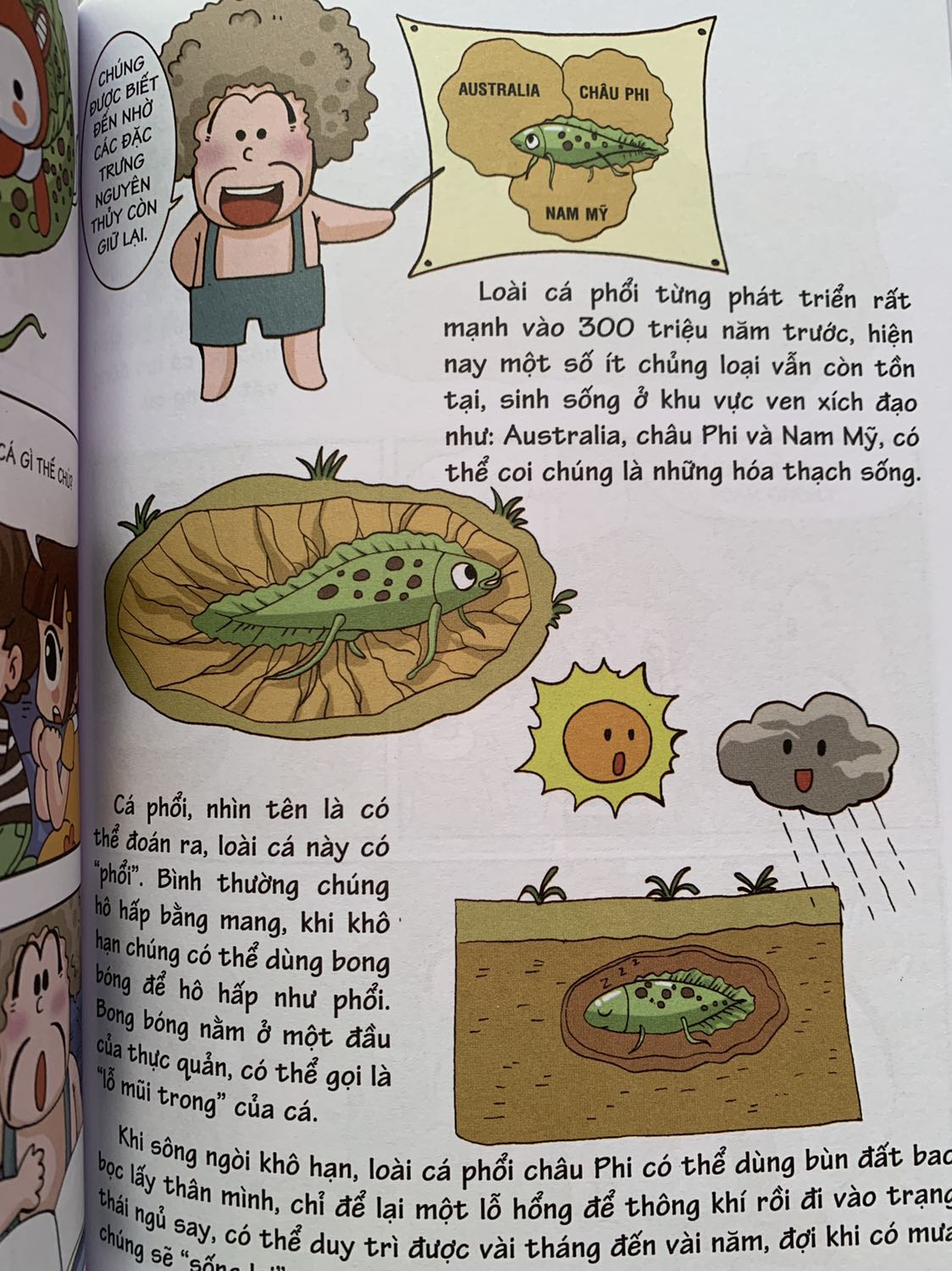 Kiến thức được lồng ghép bằng những câu chuyện vui nhộn, bé đọc sẽ nhớ lâu hơn. Mình thích cách truyền tải kiến thức như vậy. Ủng hộ Đinh Tị Books!