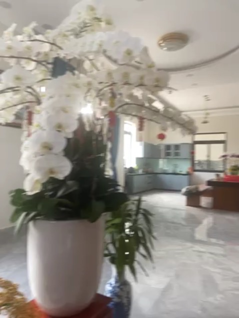 Shop xịn xò. Uy tín đẳng cấp quốc tế. Mình mua rất nhiều lần từ shop. Rì viu một cách trung thực. Các bạn cứ yên tâm nua hàng nhé. Ngon. Bổ. Đẹp. Xịn xò. Được shop viết thư tay cảm ơn. Được tặng một hộp khẩu trang. Quả đẳng cấp