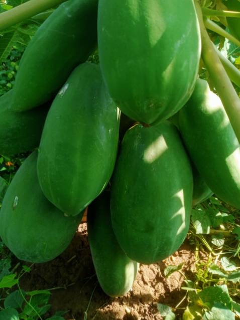 Rất hài lòng với sản phẩm.lấy hình đăng đại.hi