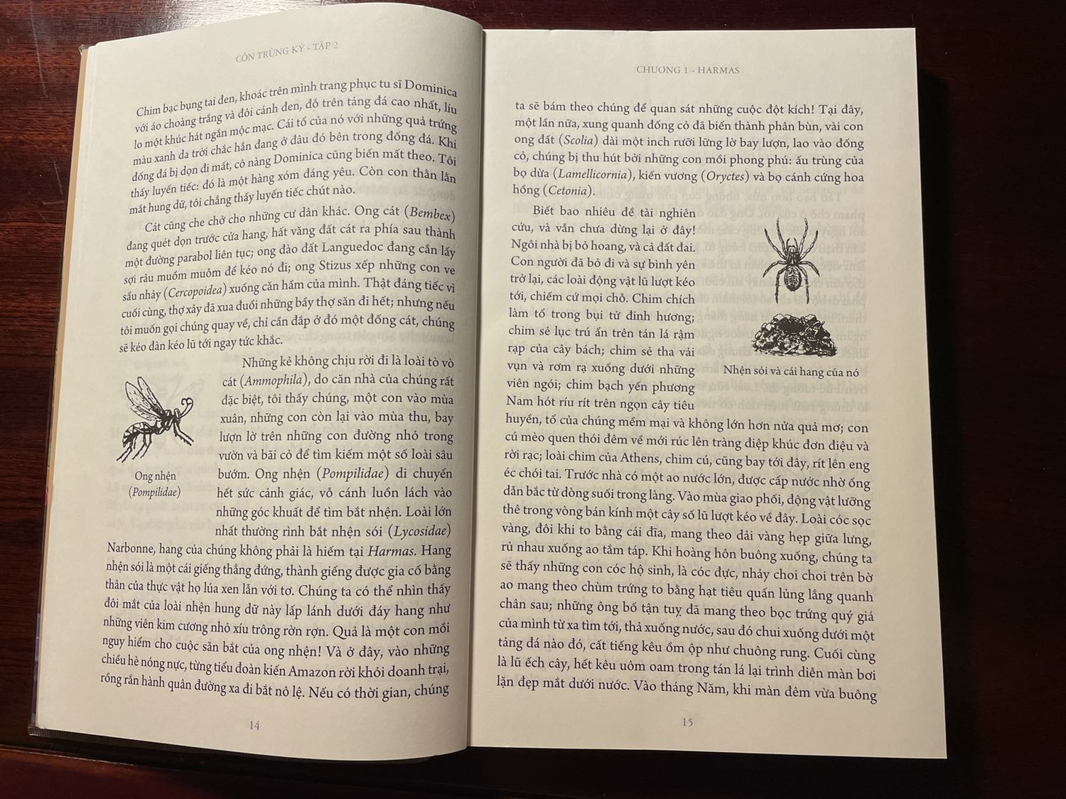 Sách hay, munh hoạ đẹp.
Tuy nhiên phù hợp với tẻ 9, 10 tuổi trở lên do dài.
