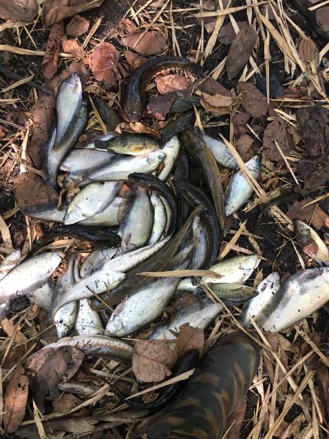 chất lượng ok sip lau thôi 1 tuấn mới nhận đc hàng