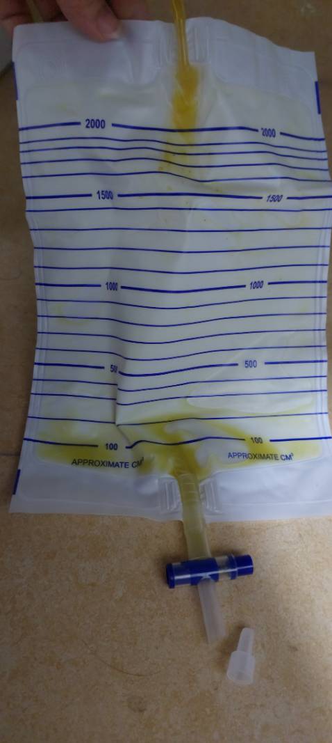 Ssfghjjjjj200c áo  cả ba lỗ và có tay, chất cottong 2c và 4c, màu trắng nhiều, fom 55-75kg. Xả lỗ sm 4k, nhân ck ạ Ssfghjjjjj200c áo  cả ba lỗ và có tay, chất cottong 2c và 4c, màu trắng nhiều, fom 55-75kg. Xả lỗ sm 4k, nhân ck ạ