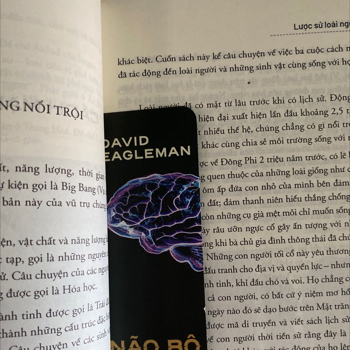 Sách mới, không bị trầy xước hay móp góc, đóng gói rất kỹ, có tặng kèm bookmark, nội dung khá hấp dẫn, đây là quyển sách nên đọc đầu tiên khi muốn tìm hiểu lịch sử loài người, trước đó tôi có đọc quyển Cội nguồn và Thế giới một thoáng này của Giáo sư David Christian có trích dẫn một số thông tin từ quyển sách này nên quyết định mua ngay.