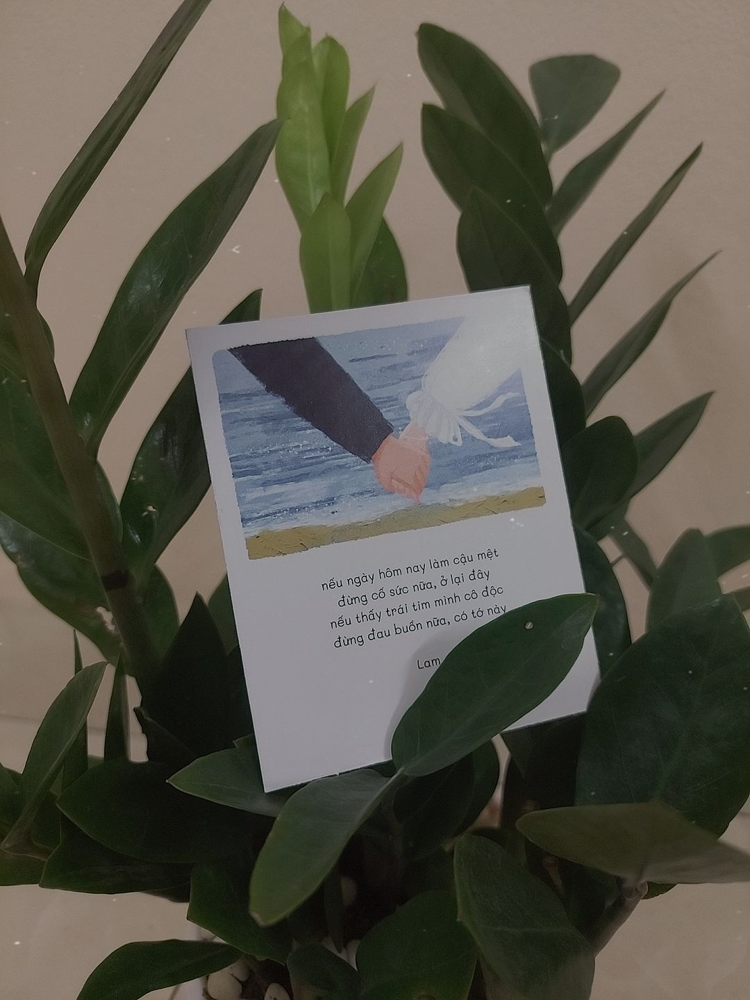 Sách ra mắt là phải mua ngay vì đọc thấy nó quá dịu dàng và ấm áp. 
Lần này hơi thất vọng chút là ko có bookcare nên sách dễ bị nát, nhưng bù lại tiki giao hàng rất nhanh